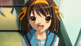 ハルヒ